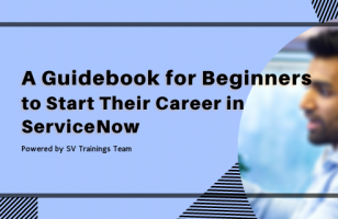 A Guidebook for Beginners to Start Their Career in ServiceNow svtrainings