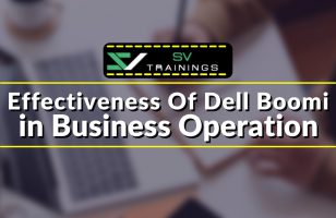 Dell Boomi online Training effectivenesson BusinessOperations