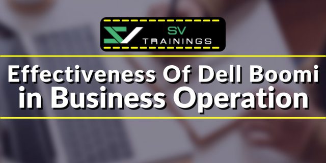 Dell Boomi online Training effectivenesson BusinessOperations